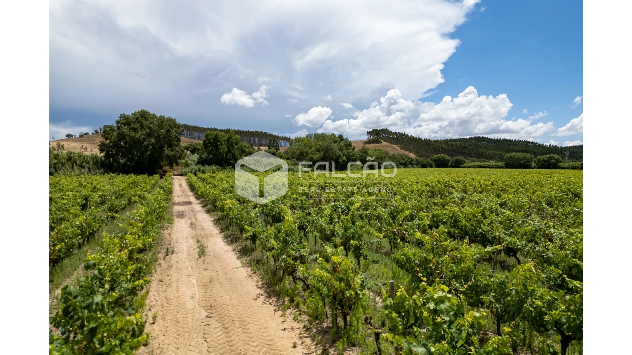 Terreno para Venda em Manique do Intendente, Vila Nova de São Pedro e Maçussa Foto 26