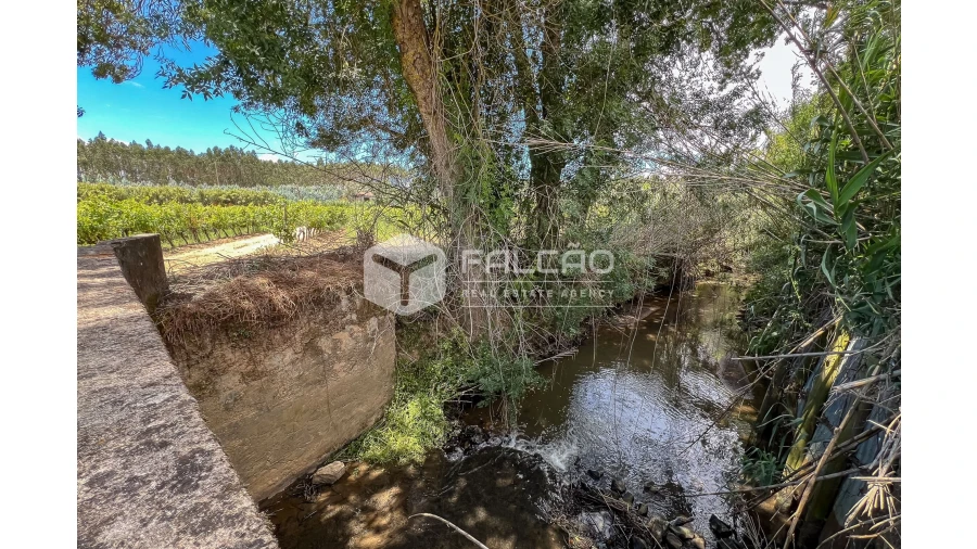 Terreno para Venda em Manique do Intendente, Vila Nova de São Pedro e Maçussa Foto 29