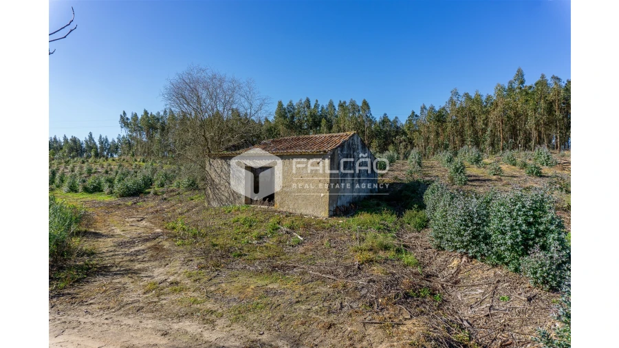 Terreno para Venda em Manique do Intendente, Vila Nova de São Pedro e Maçussa Foto 41