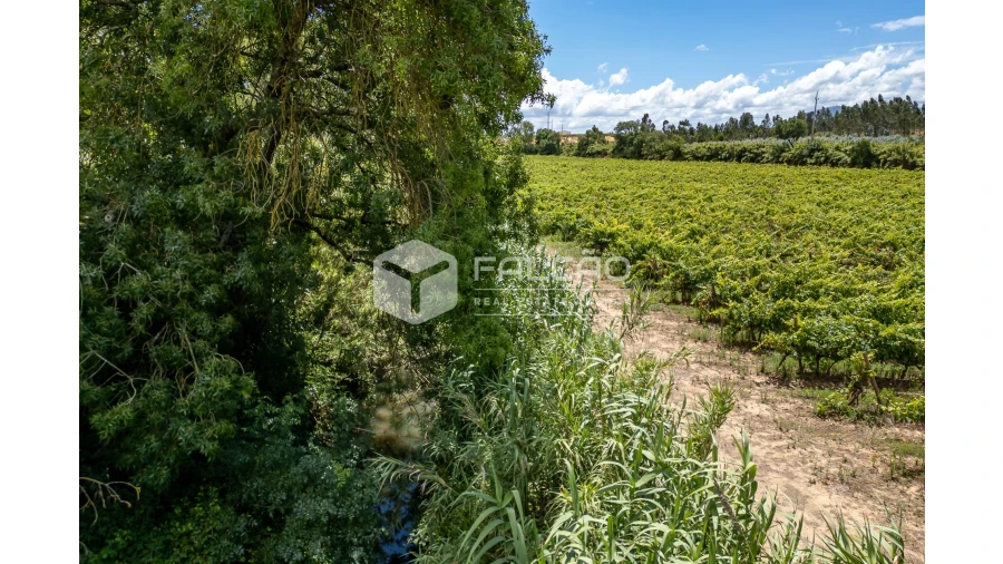Terreno para Venda em Manique do Intendente, Vila Nova de São Pedro e Maçussa Foto 23