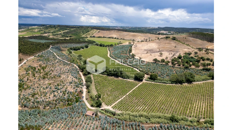 Terreno para Venda em Manique do Intendente, Vila Nova de São Pedro e Maçussa Foto 7