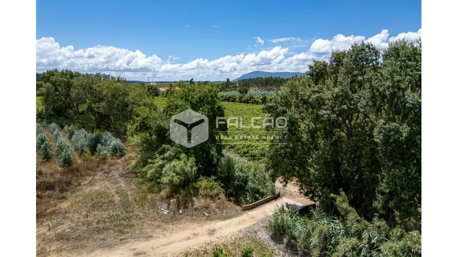 Terreno para Venda em Manique do Intendente, Vila Nova de São Pedro e Maçussa Foto 18