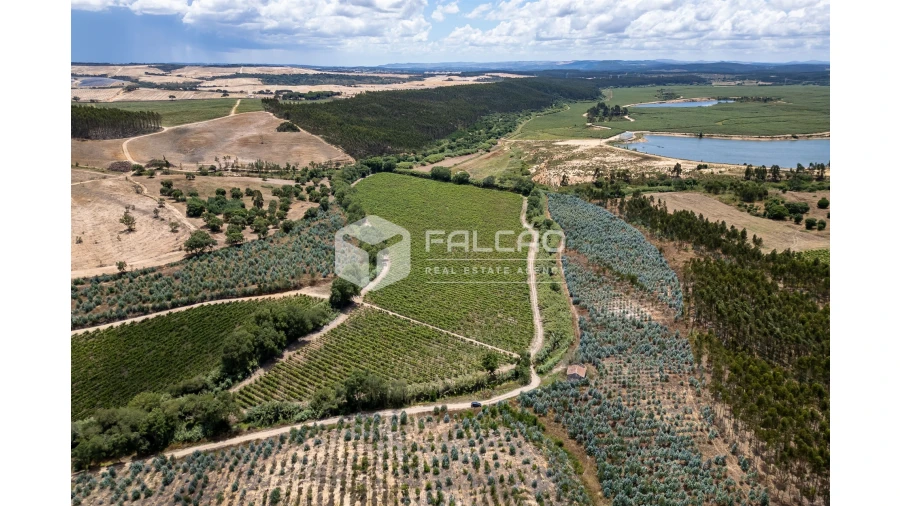 Terreno para Venda em Manique do Intendente, Vila Nova de São Pedro e Maçussa Foto 6