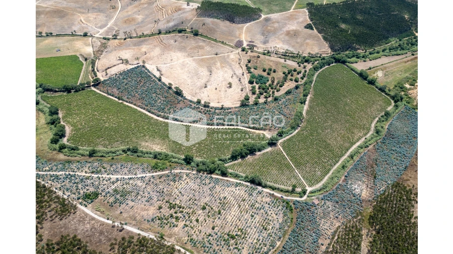 Terreno para Venda em Manique do Intendente, Vila Nova de São Pedro e Maçussa Foto 4