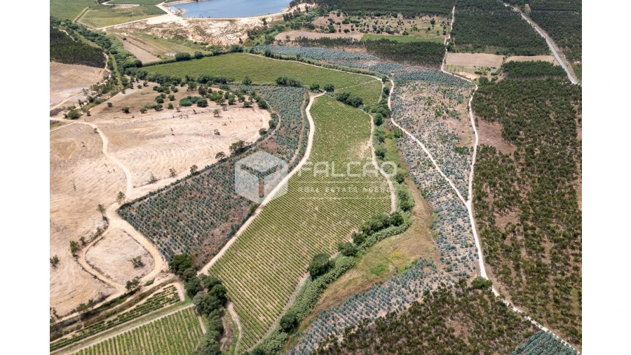 Terreno para Venda em Manique do Intendente, Vila Nova de São Pedro e Maçussa Foto 3