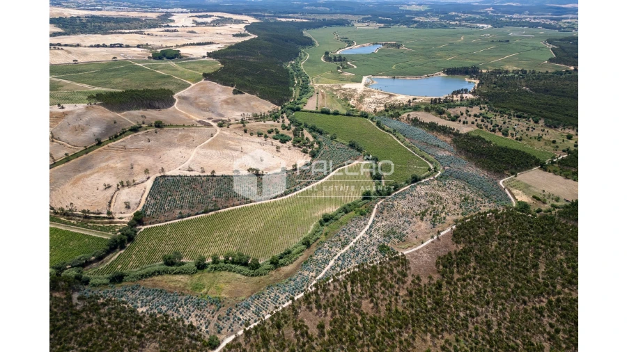 Terreno para Venda em Manique do Intendente, Vila Nova de São Pedro e Maçussa Foto 2