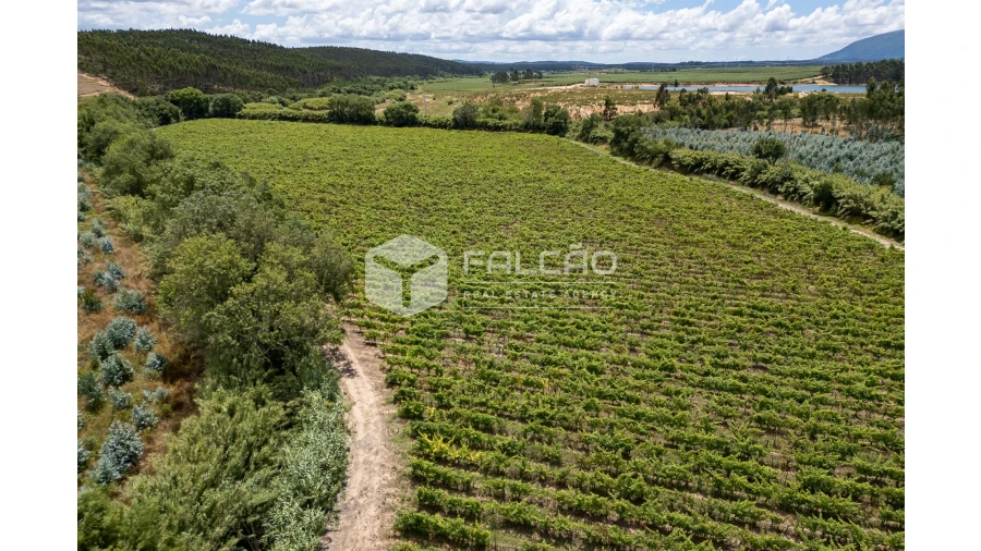 Terreno para Venda em Manique do Intendente, Vila Nova de São Pedro e Maçussa Foto 25
