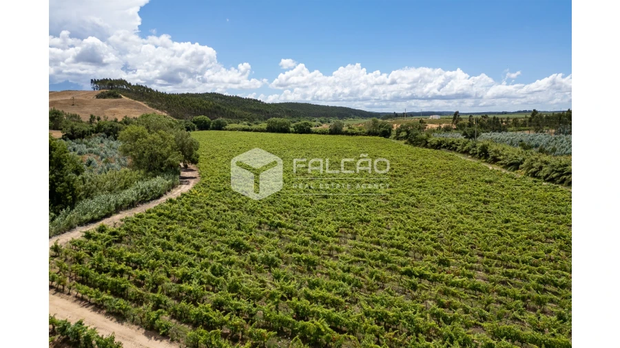 Terreno para Venda em Manique do Intendente, Vila Nova de São Pedro e Maçussa Foto 20