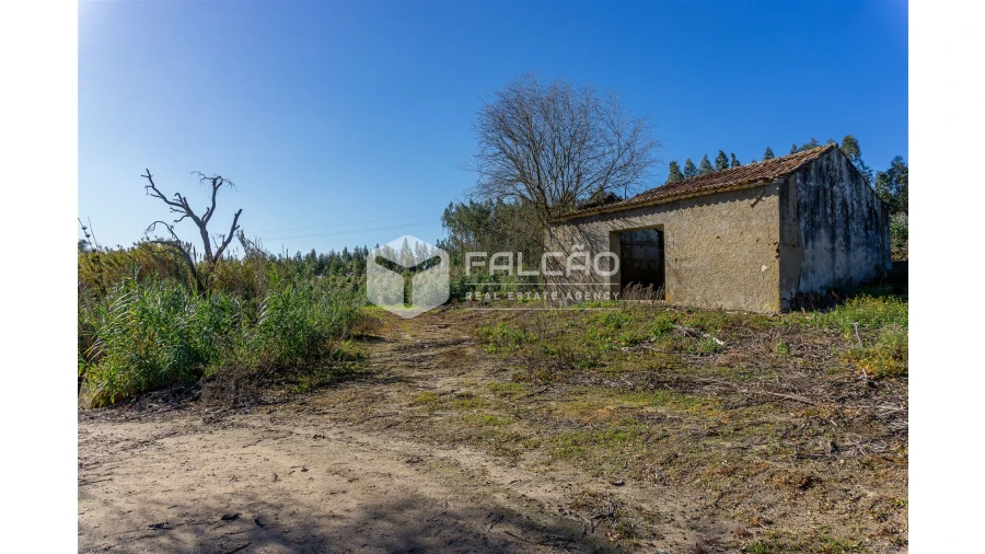Terreno para Venda em Manique do Intendente, Vila Nova de São Pedro e Maçussa Foto 45