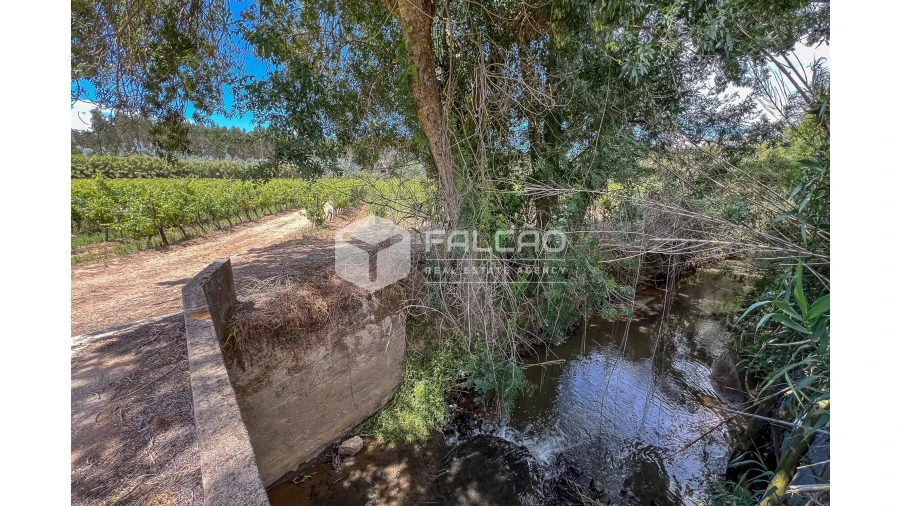 Terreno para Venda em Manique do Intendente, Vila Nova de São Pedro e Maçussa Foto 32