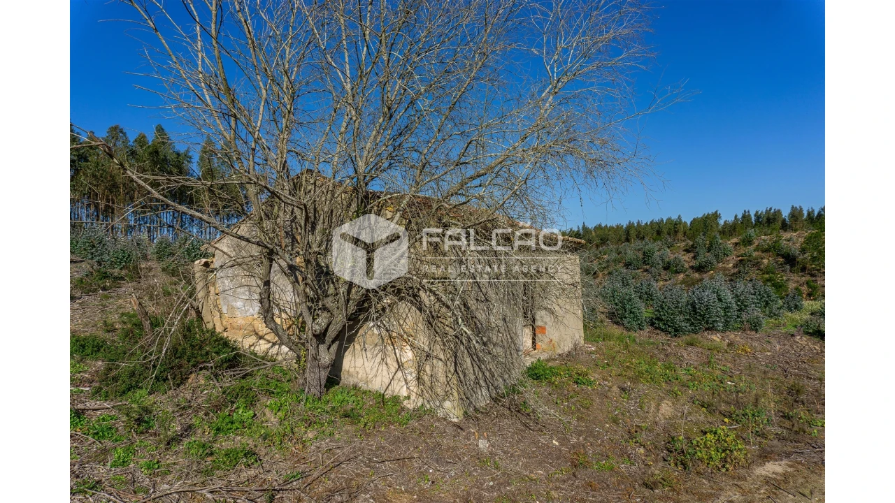 Terreno para Venda em Manique do Intendente, Vila Nova de São Pedro e Maçussa Foto 42