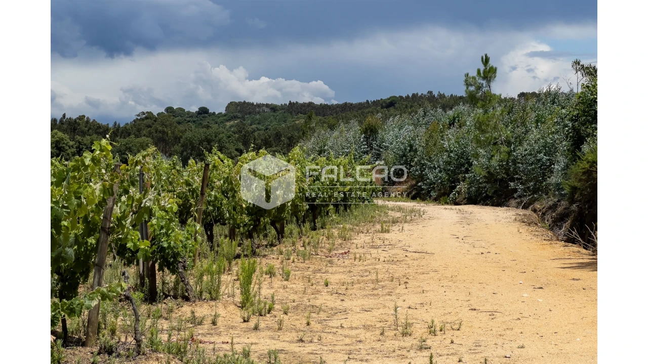 Terreno para Venda em Manique do Intendente, Vila Nova de São Pedro e Maçussa Foto 37