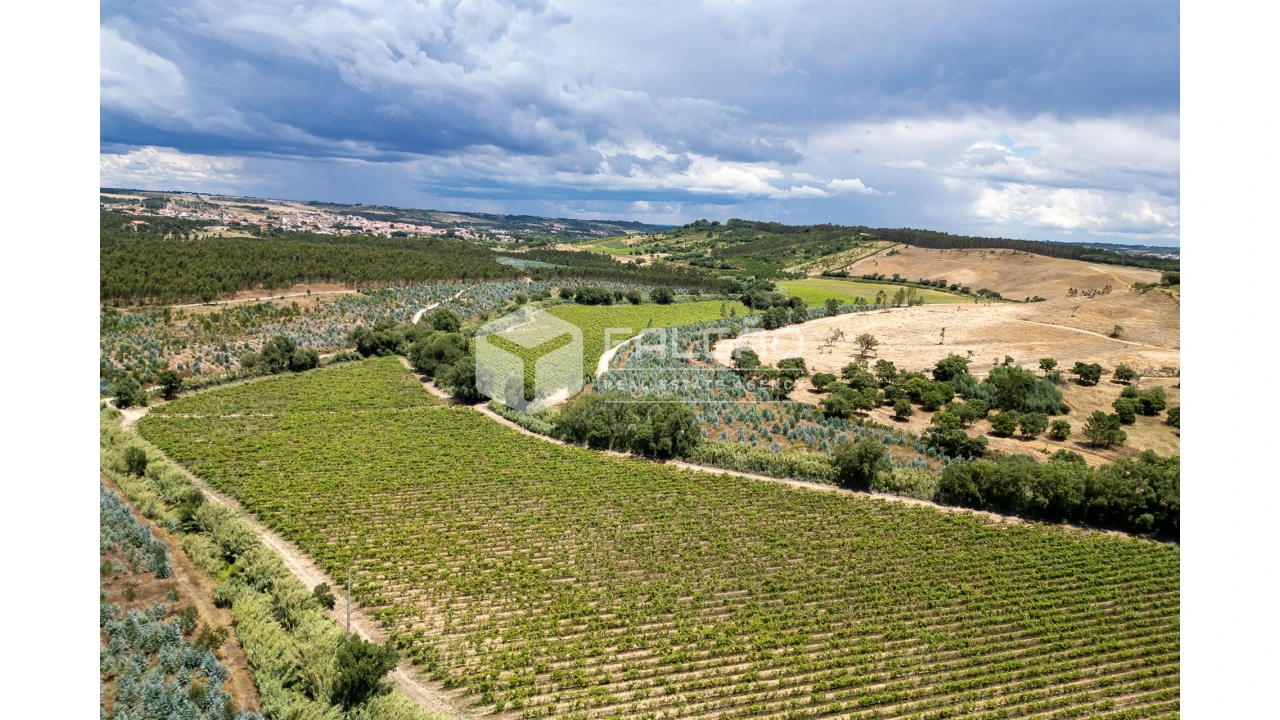 Terreno para Venda em Manique do Intendente, Vila Nova de São Pedro e Maçussa Foto 1