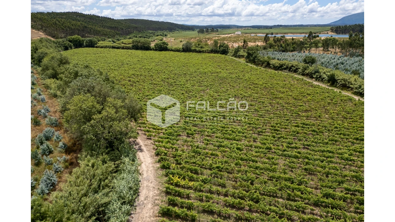 Terreno para Venda em Manique do Intendente, Vila Nova de São Pedro e Maçussa Foto 25