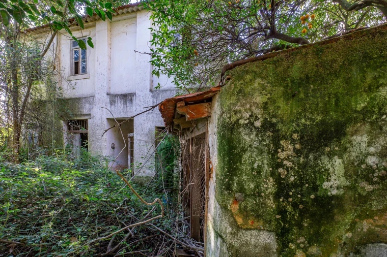 Prédio para Venda em Marvila, Ribeira Santarém, São Salvador, São Nicolau Foto 15