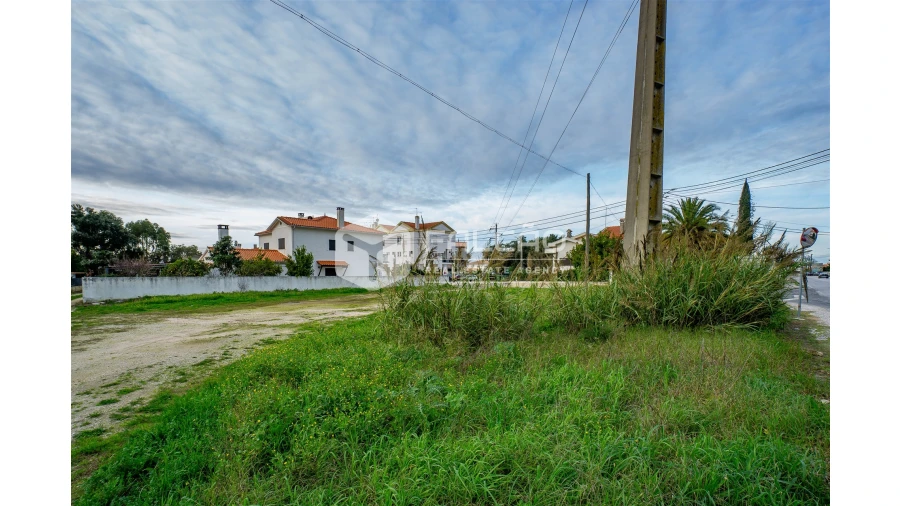 Terreno para Venda em Marvila, Ribeira Santarém, São Salvador, São Nicolau Foto 9