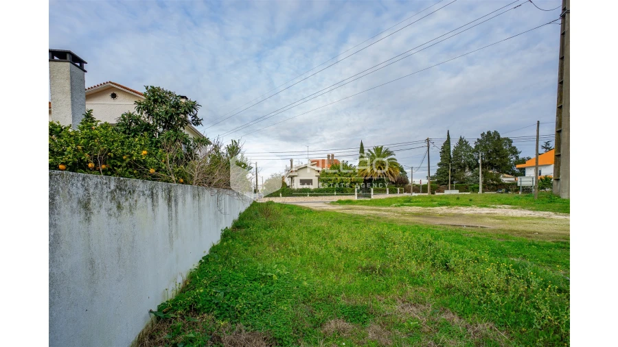 Terreno para Venda em Marvila, Ribeira Santarém, São Salvador, São Nicolau Foto 5