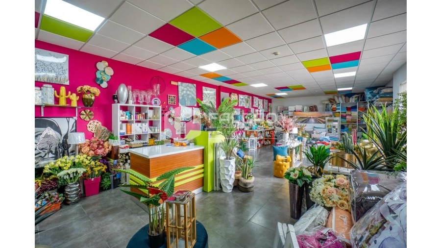 Loja para Venda em Vila Chã de Ourique Foto 41