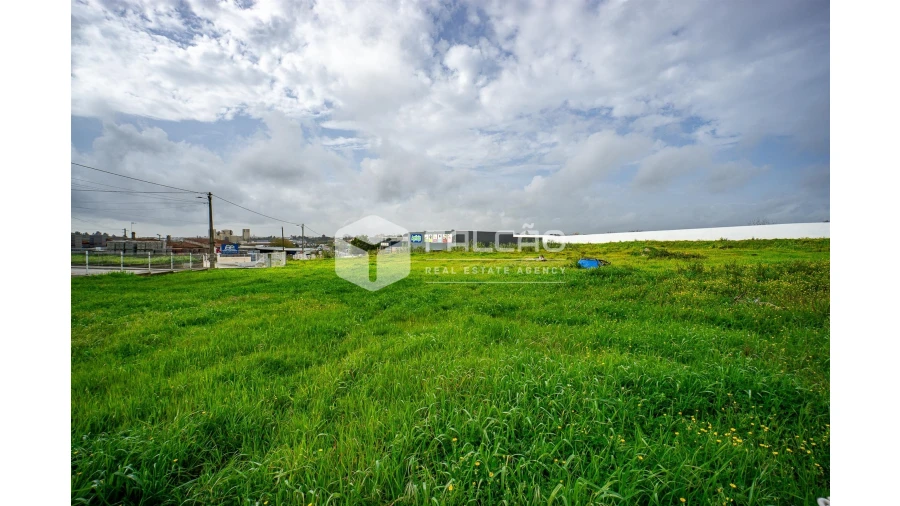 Terreno para Venda em Vila Chã de Ourique Foto 3