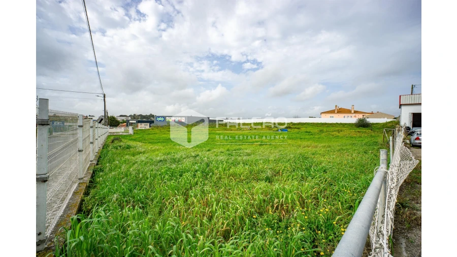 Terreno para Venda em Vila Chã de Ourique Foto 4