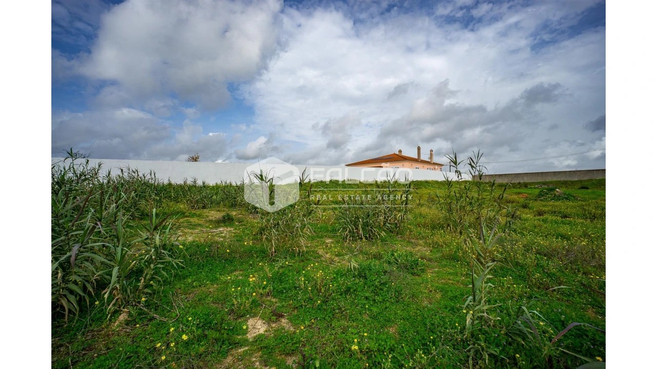 Terreno para Venda em Vila Chã de Ourique Foto 32