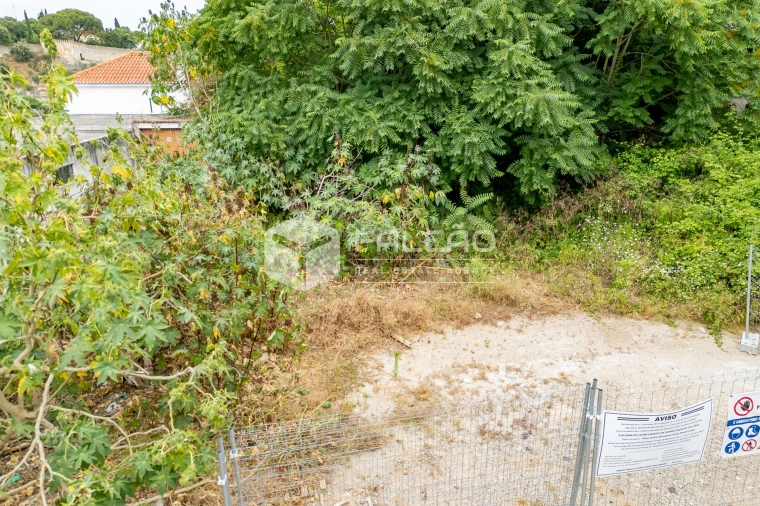 Terreno para Venda em Marvila, Ribeira Santarém, São Salvador, São Nicolau Foto 12