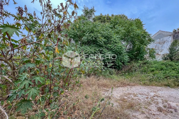 Terreno para Venda em Marvila, Ribeira Santarém, São Salvador, São Nicolau Foto 28