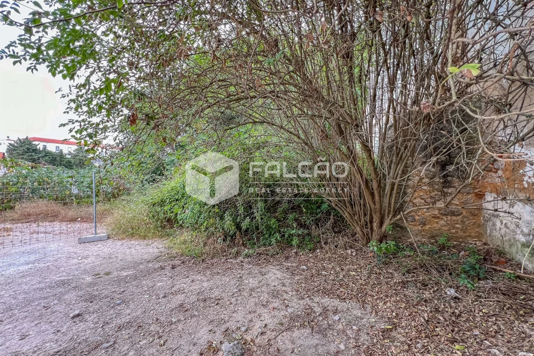 Terreno para Venda em Marvila, Ribeira Santarém, São Salvador, São Nicolau Foto 29