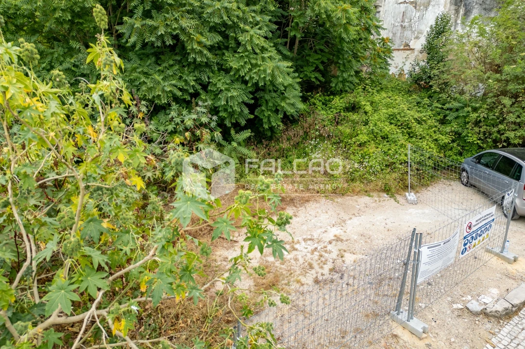 Terreno para Venda em Marvila, Ribeira Santarém, São Salvador, São Nicolau Foto 11