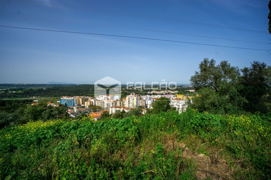 Terreno para Venda em Marvila, Ribeira Santarém, São Salvador, São Nicolau Foto 6