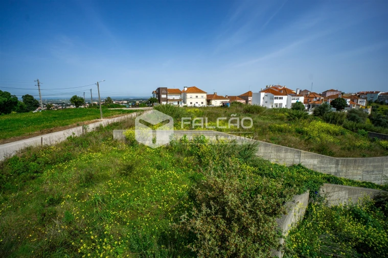 Terreno para Venda em Marvila, Ribeira Santarém, São Salvador, São Nicolau Foto 25