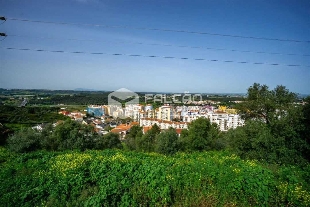 Terreno para Venda em Marvila, Ribeira Santarém, São Salvador, São Nicolau Foto 7