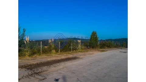 Terreno para Venda em Nogueira do Cravo e Pindelo