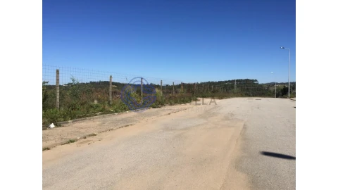 Terreno para Venda em Nogueira do Cravo e Pindelo