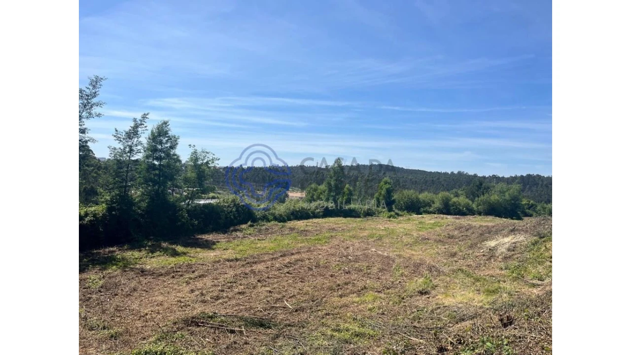 Terreno para Venda em Nogueira do Cravo e Pindelo Foto 15