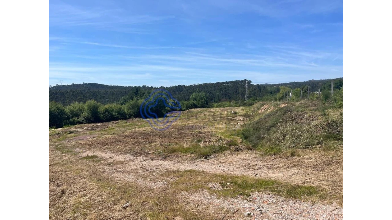 Terreno para Venda em Nogueira do Cravo e Pindelo Foto 6