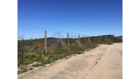 Terreno para Venda em Nogueira do Cravo e Pindelo