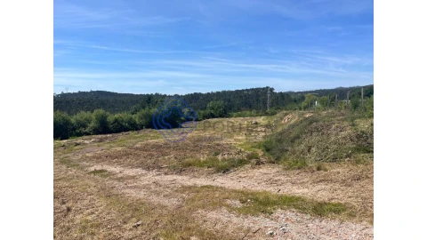 Terreno para Venda em Nogueira do Cravo e Pindelo