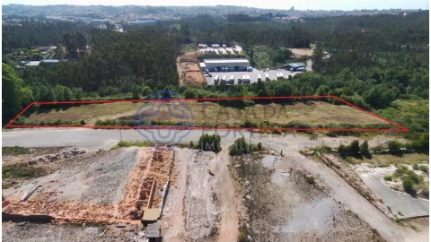 Terreno para Venda em Nogueira do Cravo e Pindelo