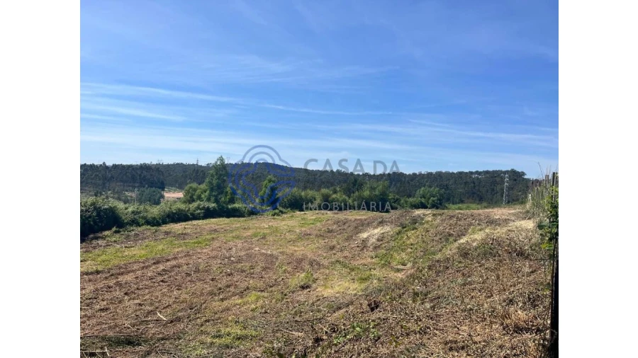Terreno para Venda em Nogueira do Cravo e Pindelo Foto 5
