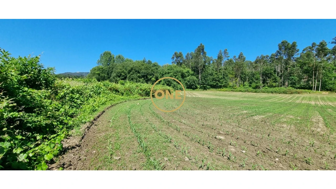Terreno para Venda em Carreira e Refojos de Riba de Ave Foto 4
