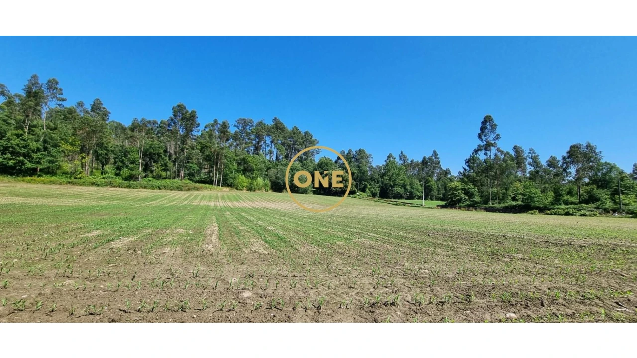 Terreno para Venda em Carreira e Refojos de Riba de Ave Foto 3