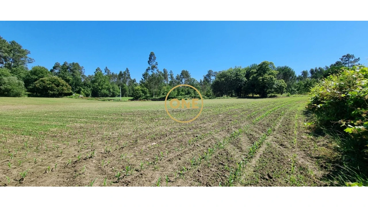 Terreno para Venda em Carreira e Refojos de Riba de Ave Foto 5