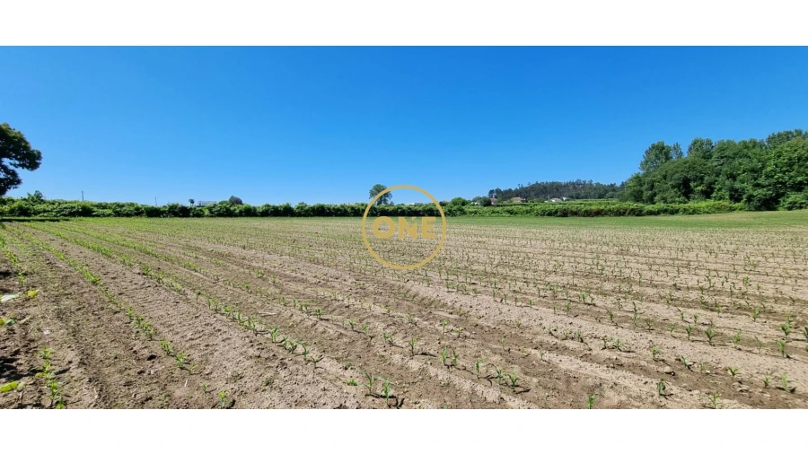 Terreno para Venda em Carreira e Refojos de Riba de Ave Foto 6