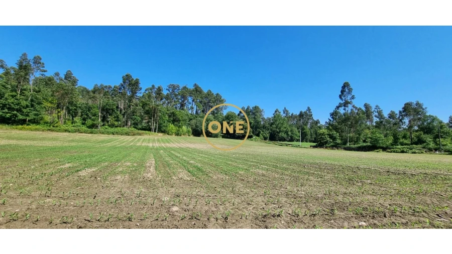 Terreno para Venda em Carreira e Refojos de Riba de Ave Foto 3