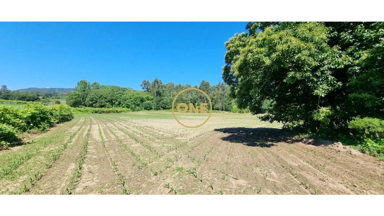 Terreno para Venda em Carreira e Refojos de Riba de Ave Foto 1