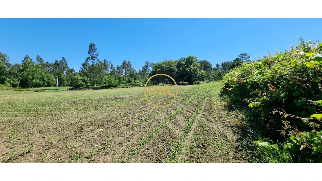 Terreno para Venda em Carreira e Refojos de Riba de Ave Foto 2