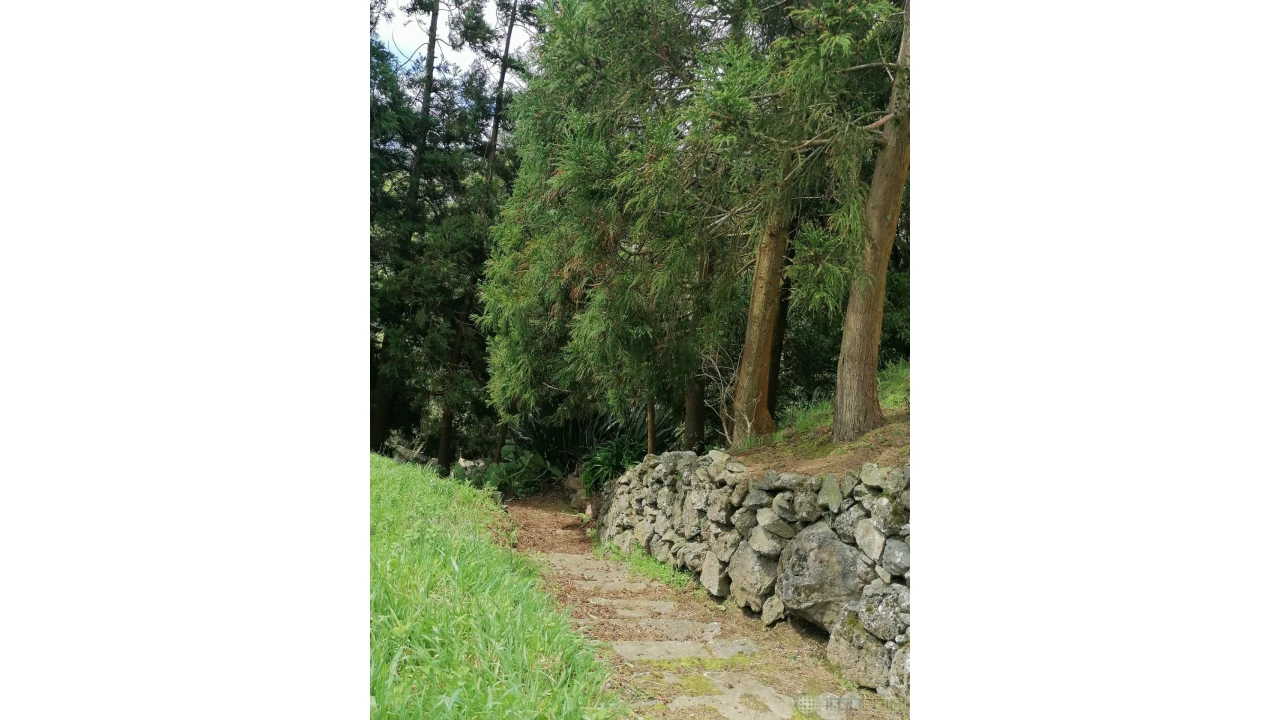 Moradia T3 para Venda em Pedro Miguel Foto 9