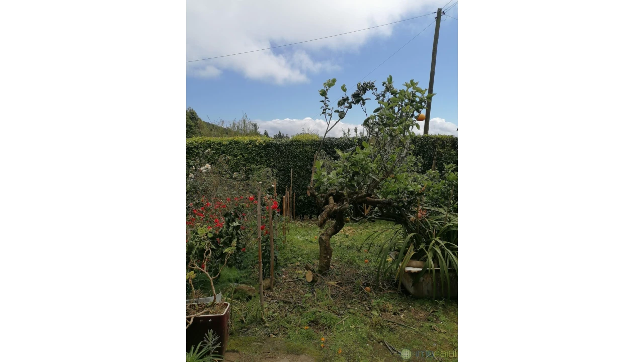 Moradia T3 para Venda em Pedro Miguel Foto 7