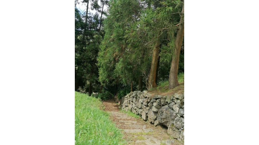 Moradia T3 para Venda em Pedro Miguel Foto 9